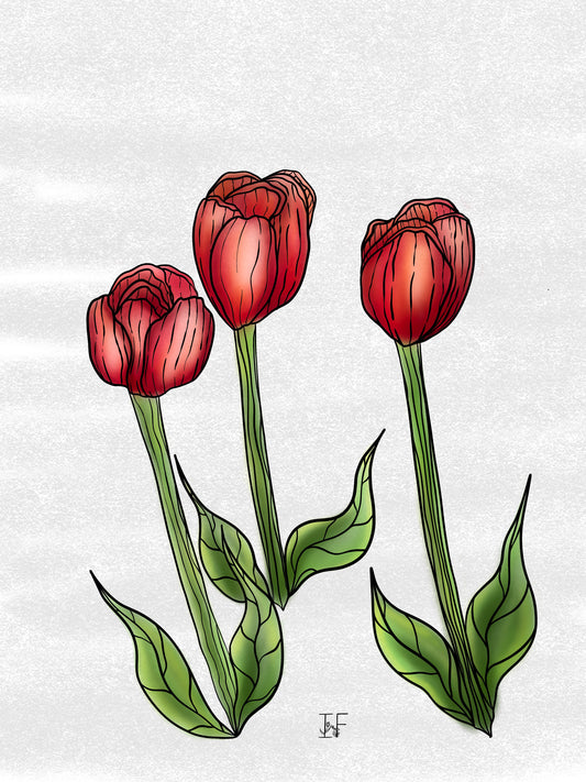 A4 TULIP PRINT