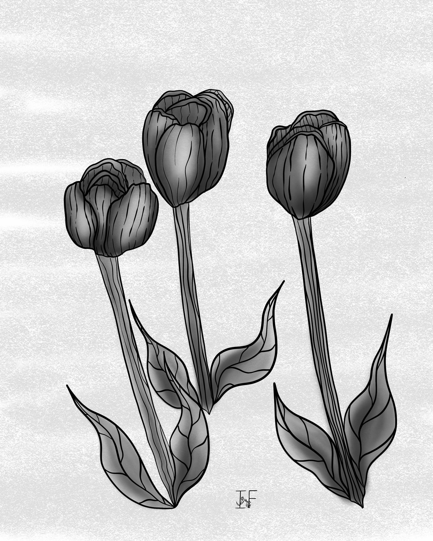 A4 TULIP PRINT